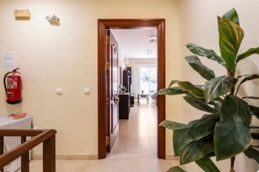 Apartamento En Primera Linea De Playa El Palo Málaga Kültér fotó